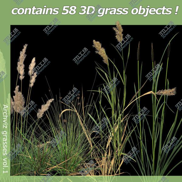 images/goods_img/20210312/Archviz grasses vol.1/1.jpg